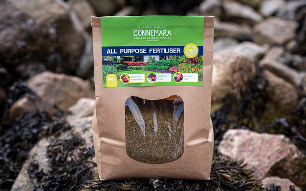 Seaweed Fertilizer