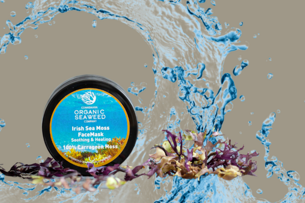 **NEW PRODUCT** Carrageen Moss Face Mask