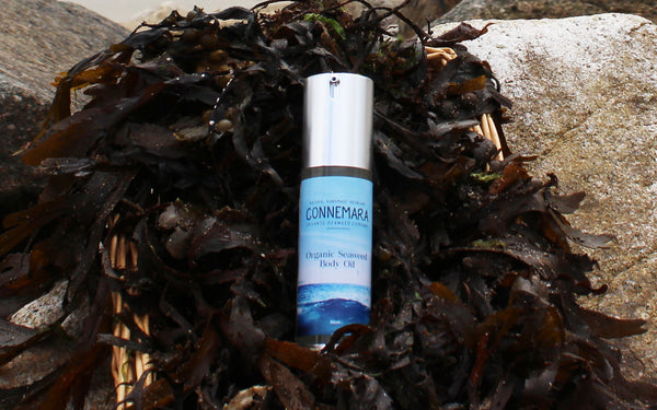 Organic Seaweed Body Oil