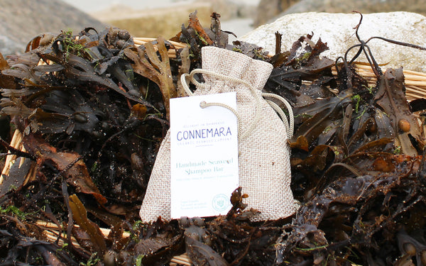 Handmade Seaweed Shampoo Bar