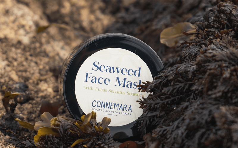 Organic Seaweed Face Mask